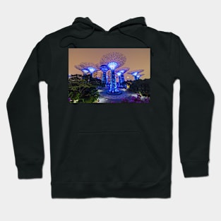 Supertree Grove in Gardens by the Bay, Singapore Hoodie